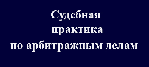 Судебная практика адвоката по арбитражным делам.